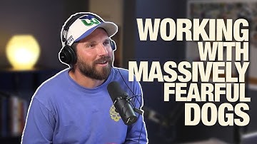 DTDT 218 - Working With Massively Fearful Dogs