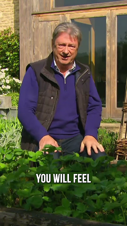 The BEST place to position your veg bed in your Garden!  #gardendelight  #garden #vegetables