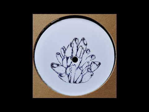 2XM - Choice Tonight