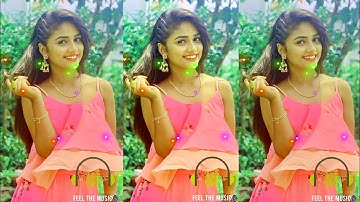 Jagdish Rathva New Timli 2023 New Timli Status Whatsapp Status 2023 #shorts😇