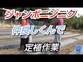 【野菜栽培】兄妹仲良し ジャンボニンニク育て方と定植#ニンニク#農作業#182 21/10/12