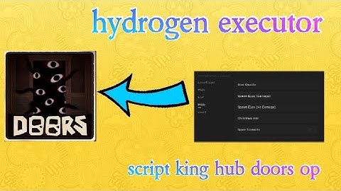 hydrogen executor script king hub doors go to pin comment to try the script enjoy