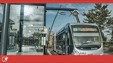The Journey to zero emission transportation in the Netherlands | Transdev