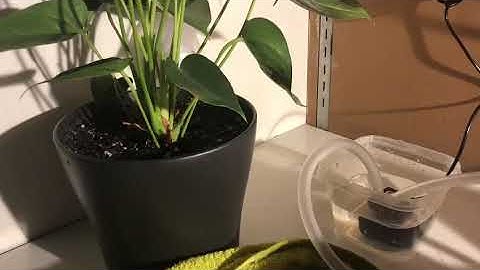 EECS 1011 - Minor Project