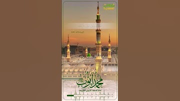 #تلاوات_جميلة #قرآن #تلاوة #إسلام  #مقطع_مهم الشيخ #محمد #ايوب #أيوب #محمد_أيوب #محمد_ايوب #نوادر