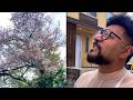 අපි ඇසුරු කරන අයව, එයාලගේ මල් වලින් විතරක් නෙමෙයි, එයාලගේ මුල් වලින්ම අඳුරගන්න ඉගෙන ගමු ❤️