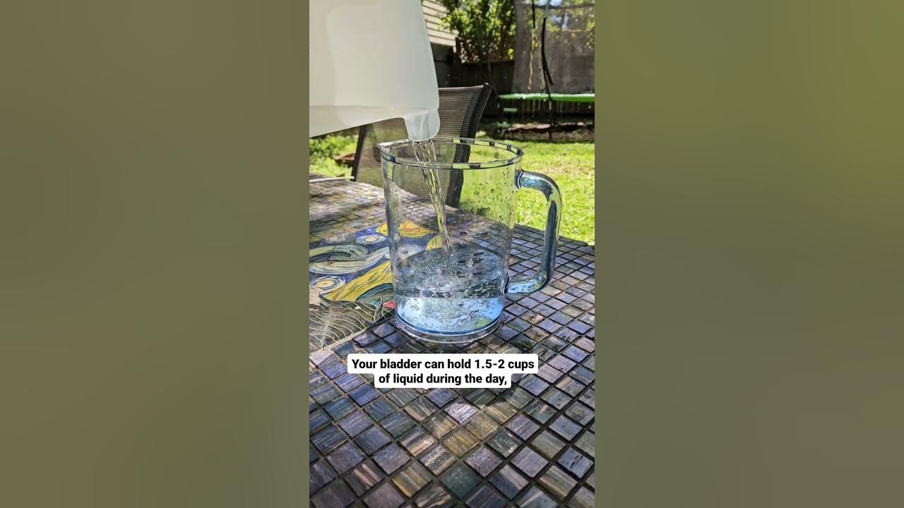 how-much-liquid-does-a-small-bladder-hold-youtube
