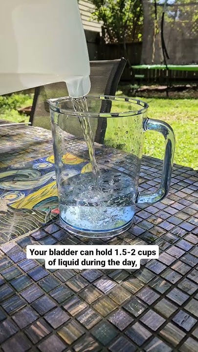 how-much-liquid-does-a-small-bladder-hold-youtube