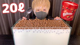 【大食い】巨大水槽に韓国で人気のモルティザーズチョコ入ってたらそりゃ食べる【モッパン】