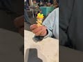 Sonny Angel unboxing #swapmeet #sonneyangel