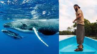 Encuentro Mágico con Ballenas en Uvita