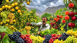 🍇Harvesting Grapes & Hidden Fruits of Dena | The Secret of Nomadic Survival🍇🍎🍑