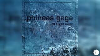 Phineas Gage 312
