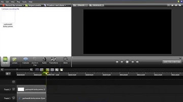 How to make an animated GIF image using Camtasia