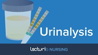 Urinalysis: What Does It Tell You? | Medical Surgical Nursing