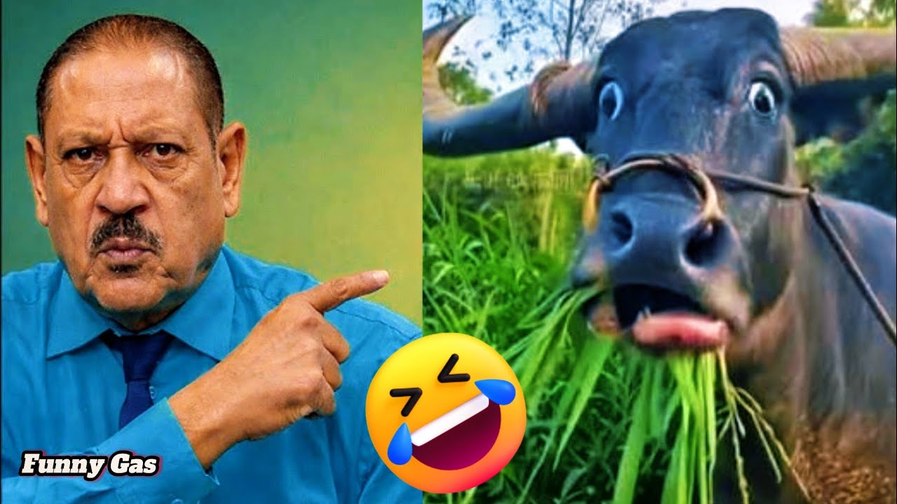 Best of Funny fails (Ep99) 🤣 Try not to laugh | Best funny videos ever 😅🤣