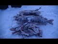 Сибирская рыбалка.