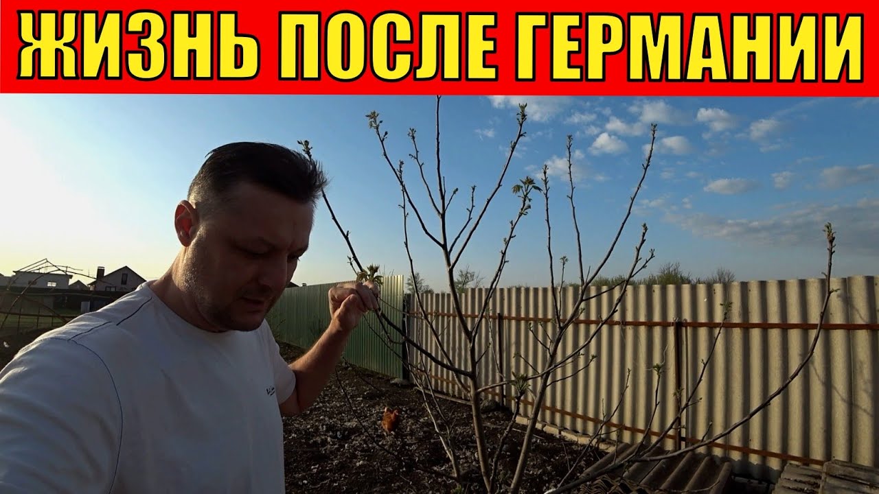 Жизнь переселенцев из Германии - YouTube