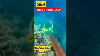 Pernah liat Mujair di dalam laut? 🤔🤔🤔🤔🤔 perhatikan ini!