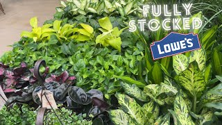 Plant shop with me BIG BOX STORE | LOWES +plus pots at home goods