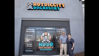 Introducing Hot Diggity Dog Resort The Ultimate Dog Pampering Experience