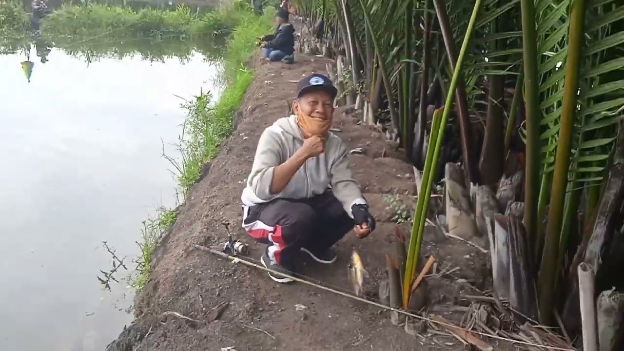 Mancing ikan nila di kampung pampang kota Makassar bajet 5,5jt 
