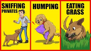 Why Do Dogs Eat Grass? | 12 Strangest Dog Behaviors Profile