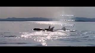 11 (2/2). End Credits (part 2/2) (Free Willy / 1993) Soundtrack