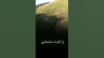 ولما رجع موسى الى قومه سوره الاعراف