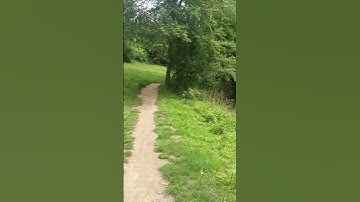 سورة تمنع عذاب القبر