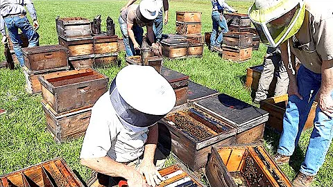 Florida Beekeepers Part 5: Beekeeping Tips and Ide...