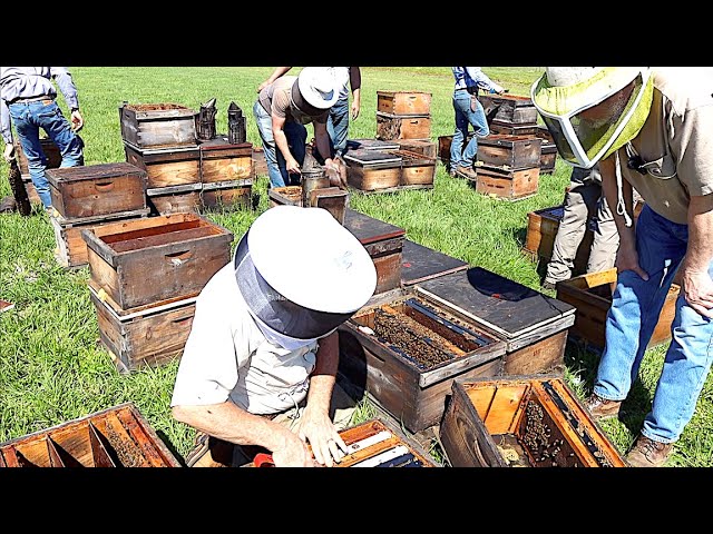 Florida Beekeepers Part 5: Beekeeping Tips and Ideas with Chris Werner class=