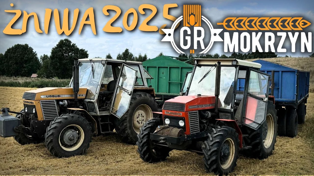 ŻNIWA 2025 w GR MOKRZYN 🔥 ODWÓZ OWSA Z POLA NA SILOSY *TRANSPORT & ROZŁADUNEK*🌾 ZETOR DŹWIĘK SILNIKA