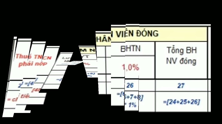 Các mẫu biểu của kế toán tiền lương năm 2024