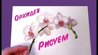 ОРХИДЕЯ рисунок акварельными красками / как нарисовать цветок / поэтапно