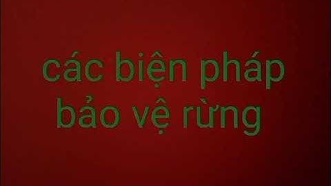 Mục đích và biện pháp bảo vệ rừng là gì năm 2024