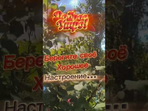 Доброе утро! Чудесного дня! #пожеланиядрузьям #доброеутро #хорошеенастроение #позитив #