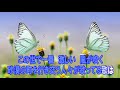 たいようの哀悼歌 FLOWER カラオケガイドあり