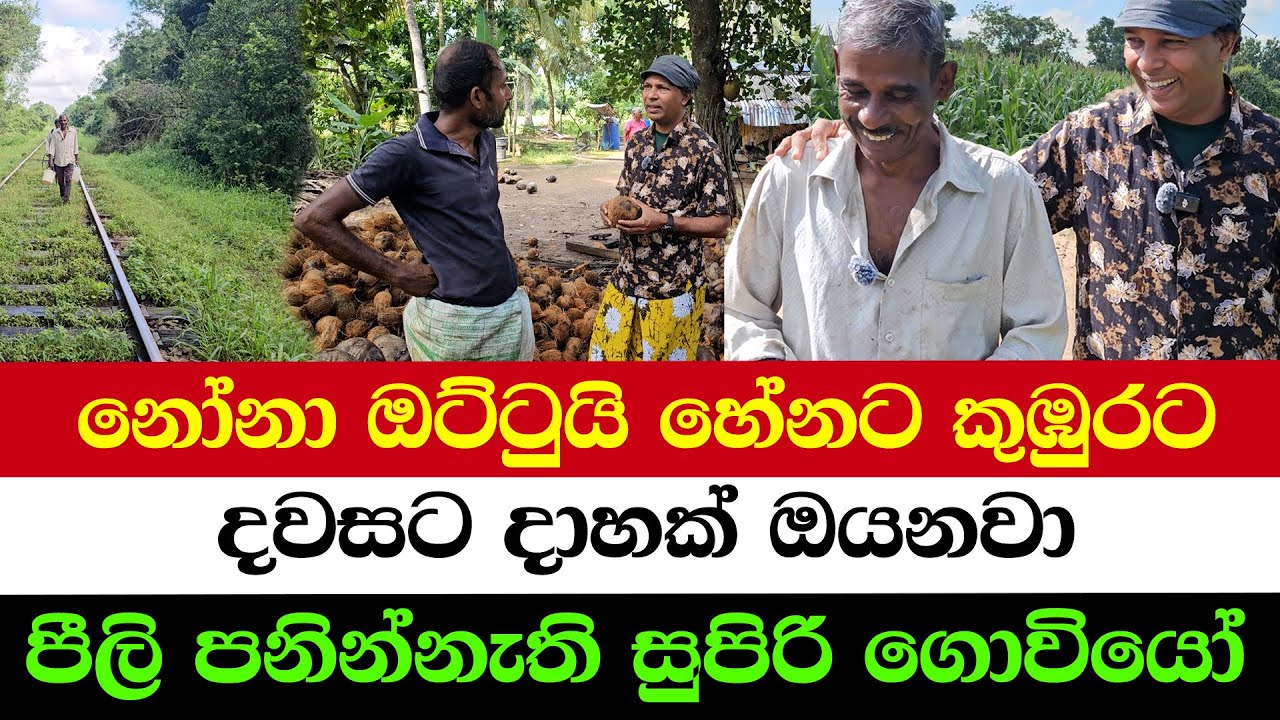 The Man Who Cleans 1,000 Coconuts a Day
