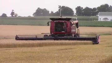 Case IH 8230 Axial-Flow Combine Harvesting Wheat