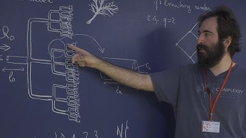 Principles of Biological Design - Seminar 04 - The Origins of Allometric Scaling Laws