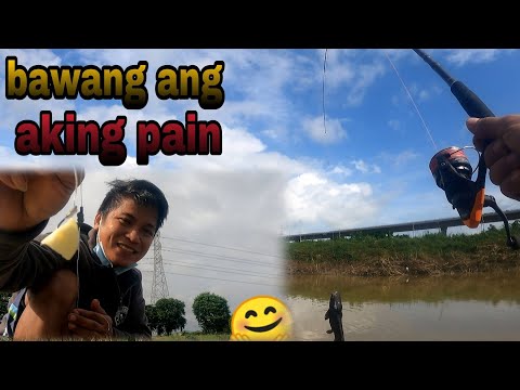 Video: Crayfish Pain - Isda O Bawang?