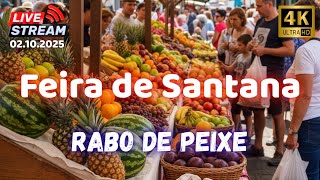 🎥 "Discover the Azores Like Never Before – Real People, Real Moments" Santana - Rabo de Peixe🌱🌍