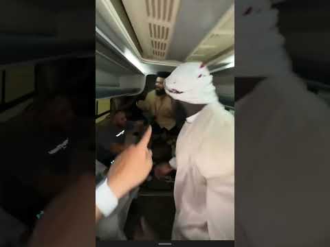 يا شجرة ميلي كحلي كحلي والشلة   اسامه داوود ضحك