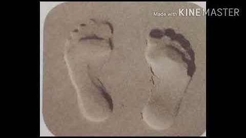 CBSE 3rd Science Chapter 3 Rocks and Soil