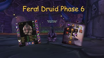Classic WoW Feral Druid - Phase 6 Itemization and Talents