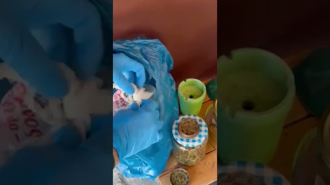 YouTube player