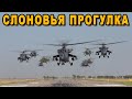 Армейская авиация юга России устроили слоновью прогулку