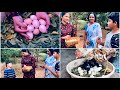 Natural brooding of chicks 🐣 || SivaMadhu on the farm again || Farm Diaries || Truth of life