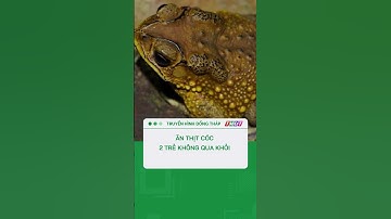 Nguy hiểm khi trẻ tự chế biến và ăn thịt cóc. #shorts